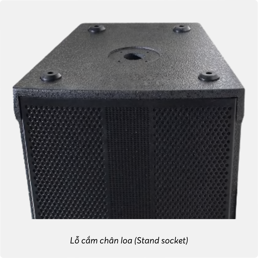 Lỗ cắm chân loa TD Classic®
