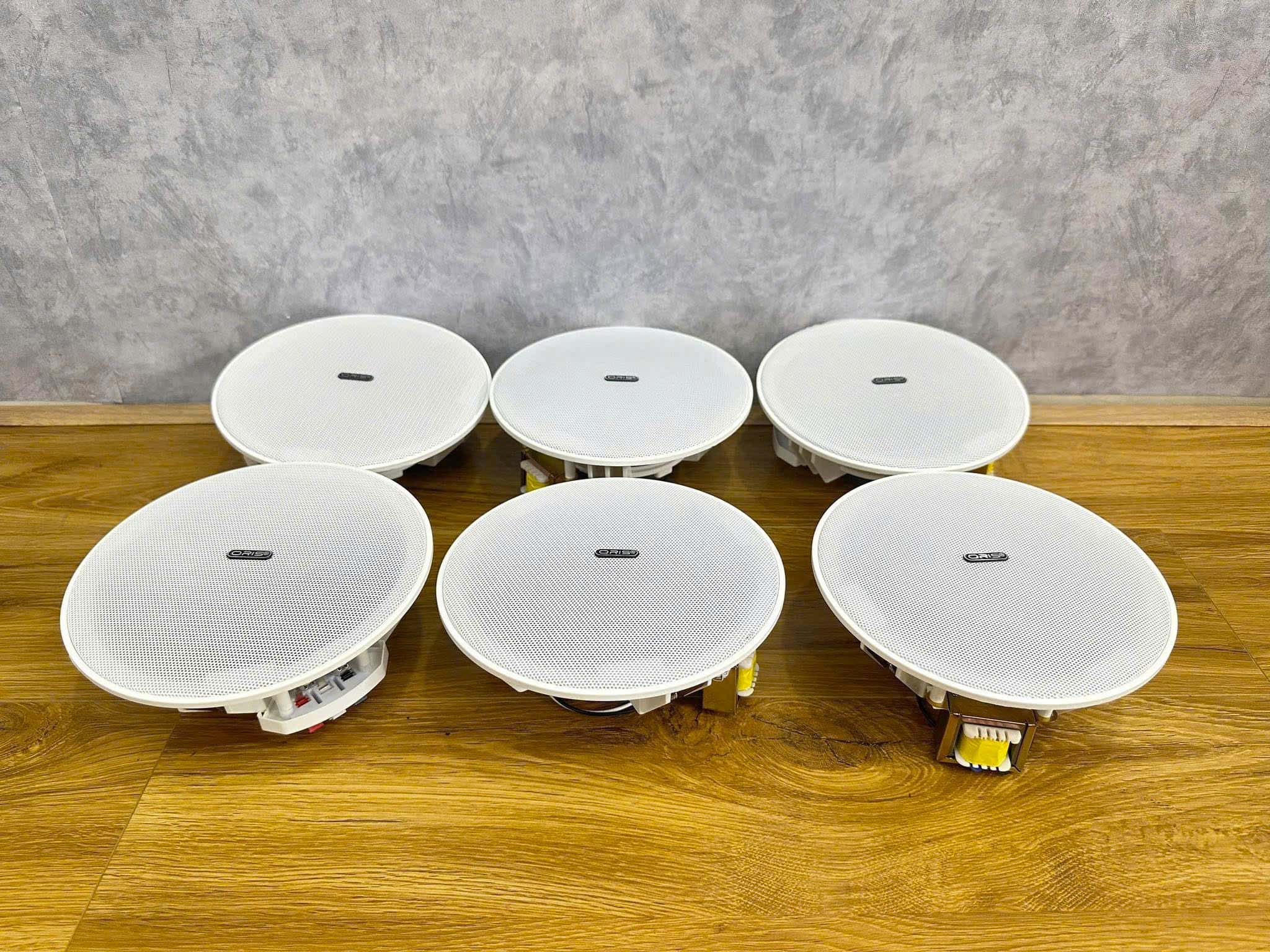 TD Classic Lắp Đặt Hệ Thống Loa Âm Trần Tại KCN Vân Đồn 1 Lắp đặt loa âm trần TD Classic cho hệ thống âm thanh thông báo